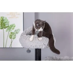 Catry Interactive 7-Level Cat Tree With Condo, Scratching Posts, & Toys 15 Catry Interactive 7-Level Cat Tree With Condo, Scratching Posts, & Toys -Cat Supplies 354554 PT4. AC SS1800 V1640317320