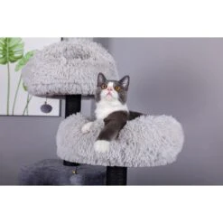 Catry Interactive 7-Level Cat Tree With Condo, Scratching Posts, & Toys 16 Catry Interactive 7-Level Cat Tree With Condo, Scratching Posts, & Toys -Cat Supplies 354554 PT5. AC SS1800 V1640316747