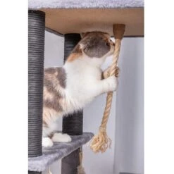 Catry Interactive 7-Level Cat Tree With Condo, Scratching Posts, & Toys 18 Catry Interactive 7-Level Cat Tree With Condo, Scratching Posts, & Toys -Cat Supplies 354554 PT7. AC SS1800 V1640317612