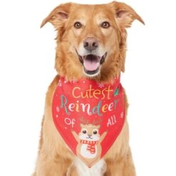 Frisco Cutest Reindeer Of All Dog & Cat Bandana 12 Frisco Cutest Reindeer Of All Dog & Cat Bandana -Cat Supplies 357931 PT2. AC SS1800 V1660756046