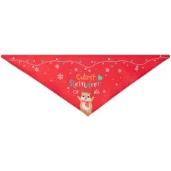 Frisco Cutest Reindeer Of All Dog & Cat Bandana 15 Frisco Cutest Reindeer Of All Dog & Cat Bandana -Cat Supplies 357931 PT5. AC SS1800 V1660756046