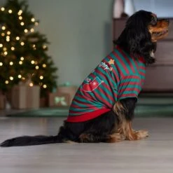 Frisco Naughty, Nice, I Tried Dog & Cat T-Shirt -Cat Supplies 358301 PT7. AC SS1800 V1661797473