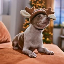 Frisco Antler Fair Isle Dog & Cat Hat 12 Frisco Antler Fair Isle Dog & Cat Hat -Cat Supplies 358313 PT4. AC SS1800 V1661798696