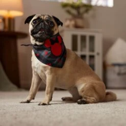 Disney Minnie Mouse Plaid Dog & Cat Bandana 14 Disney Minnie Mouse Plaid Dog & Cat Bandana -Cat Supplies 361491 PT6. AC SS1800 V1661798242