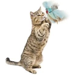 Petlinks Blue Beauty Lush Plush Catnip & Silvervine Bird & Feather Cat Toy, Blue, Small -Cat Supplies 362890 PT3. AC SS1800 V1642632423