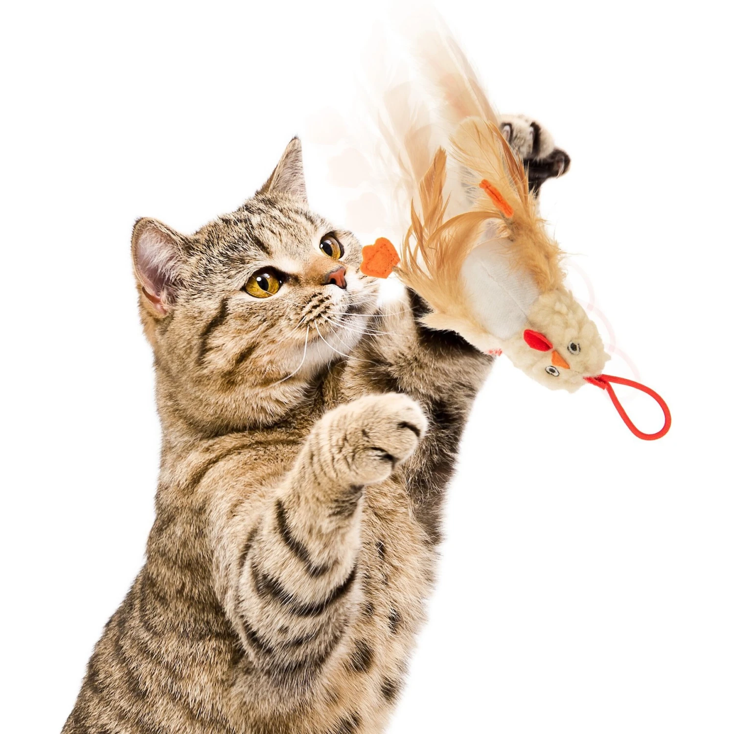 Petlinks Flying Chicken Electronic Sound Launcher Cat Toy, Natural, Medium 7 Petlinks Flying Chicken Electronic Sound Launcher Cat Toy, Natural, Medium - Image 5
