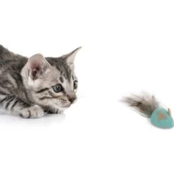 Petlinks Marble Mayhem Rolling Marble Racoon Cat Toy, Teal, Small 10 Petlinks Marble Mayhem Rolling Marble Racoon Cat Toy, Teal, Small -Cat Supplies 362912 PT3. AC SS1800 V1642633288