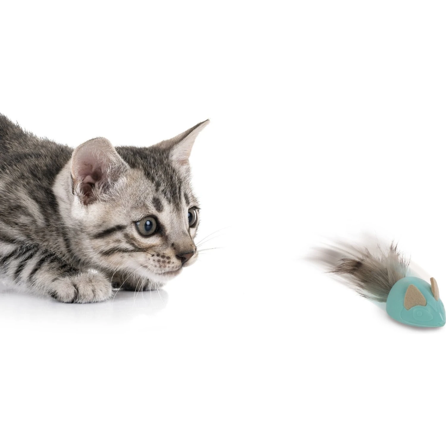 Petlinks Marble Mayhem Rolling Marble Racoon Cat Toy, Teal, Small 6 Petlinks Marble Mayhem Rolling Marble Racoon Cat Toy, Teal, Small - Image 4