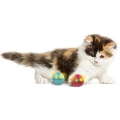 SmartyKat Flicker Balls Electronic Light Ball Cat Toy, Multicolor, Small, 2 Count -Cat Supplies 362928 PT3. AC SS1800 V1642646213