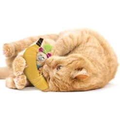 SmartyKat Playful Peeker Mouse & Banana Cat Toy, Yellow, Medium, 2 Count 10 SmartyKat Playful Peeker Mouse & Banana Cat Toy, Yellow, Medium, 2 Count -Cat Supplies 362938 PT3. AC SS1800 V1642641740