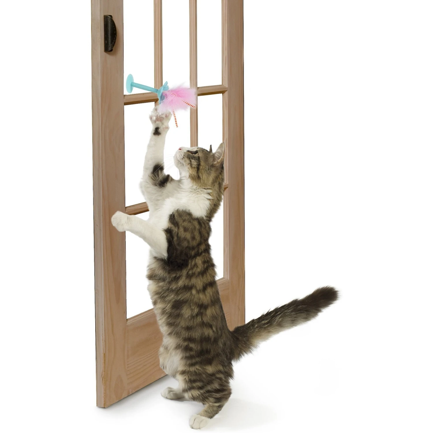 SmartyKat Window Wobbler 2 In 1 Suction Cup Window & Floor Cat Toy, Turquoise, Medium 6 SmartyKat Window Wobbler 2 In 1 Suction Cup Window & Floor Cat Toy, Turquoise, Medium - Image 4