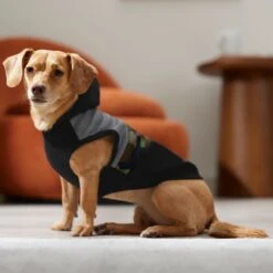 Frisco Army Camo Dog & Cat Hoodie -Cat Supplies 368774 PT7. AC SS1800 V1664994217