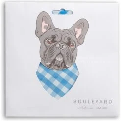 Boulevard Personalized Remy Gingham Dog Bandana 9 Boulevard Personalized Remy Gingham Dog Bandana -Cat Supplies 370168 PT2. AC SS1800 V1649374631