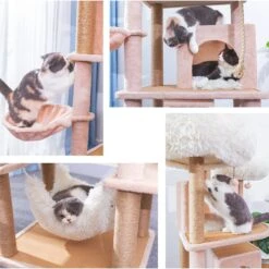 Catry 75-in Scratching Posts Condo Cat Tree, Beige 15 Catry 75-in Scratching Posts Condo Cat Tree, Beige -Cat Supplies 373043 PT4. AC SS1800 V1647027995