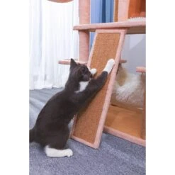 Catry 75-in Scratching Posts Condo Cat Tree, Beige 18 Catry 75-in Scratching Posts Condo Cat Tree, Beige -Cat Supplies 373043 PT7. AC SS1800 V1647029198