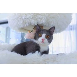 Catry 75-in Scratching Posts Condo Cat Tree, Beige 19 Catry 75-in Scratching Posts Condo Cat Tree, Beige -Cat Supplies 373043 PT8. AC SS1800 V1647028285