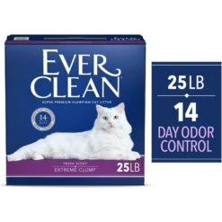 Ever Clean Lightly Scented Clumping Clay Cat Litter