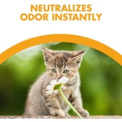 Feline Pine Original Non-Clumping Wood Cat Litter -Cat Supplies 47407 PT3. AC SS1800 V1663797194