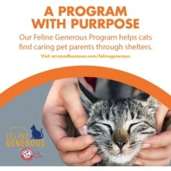 Feline Pine Original Non-Clumping Wood Cat Litter -Cat Supplies 47407 PT8. AC SS1800 V1663797230