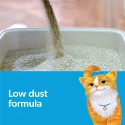 Fresh Step Odor Shield Febreze Scented Clumping Clay Cat Litter 19 Fresh Step Odor Shield Febreze Scented Clumping Clay Cat Litter -Cat Supplies 47418 PT8. AC SS1800 V1584460017