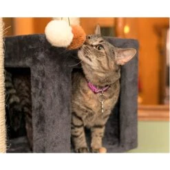 Armarkat Real Wood Giant Cat Tower, Dark Gray, 80-in 17 Armarkat Real Wood Giant Cat Tower, Dark Gray, 80-in -Cat Supplies 515582 PT6. AC SS1800 V1649343397