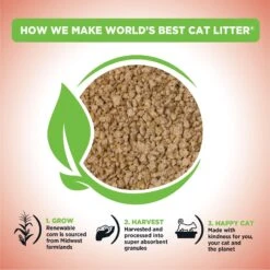 World's Best Multi-Cat Unscented Clumping Corn Cat Litter 10 World's Best Multi-Cat Unscented Clumping Corn Cat Litter -Cat Supplies 52450 PT3. AC SS1800 V1685653313