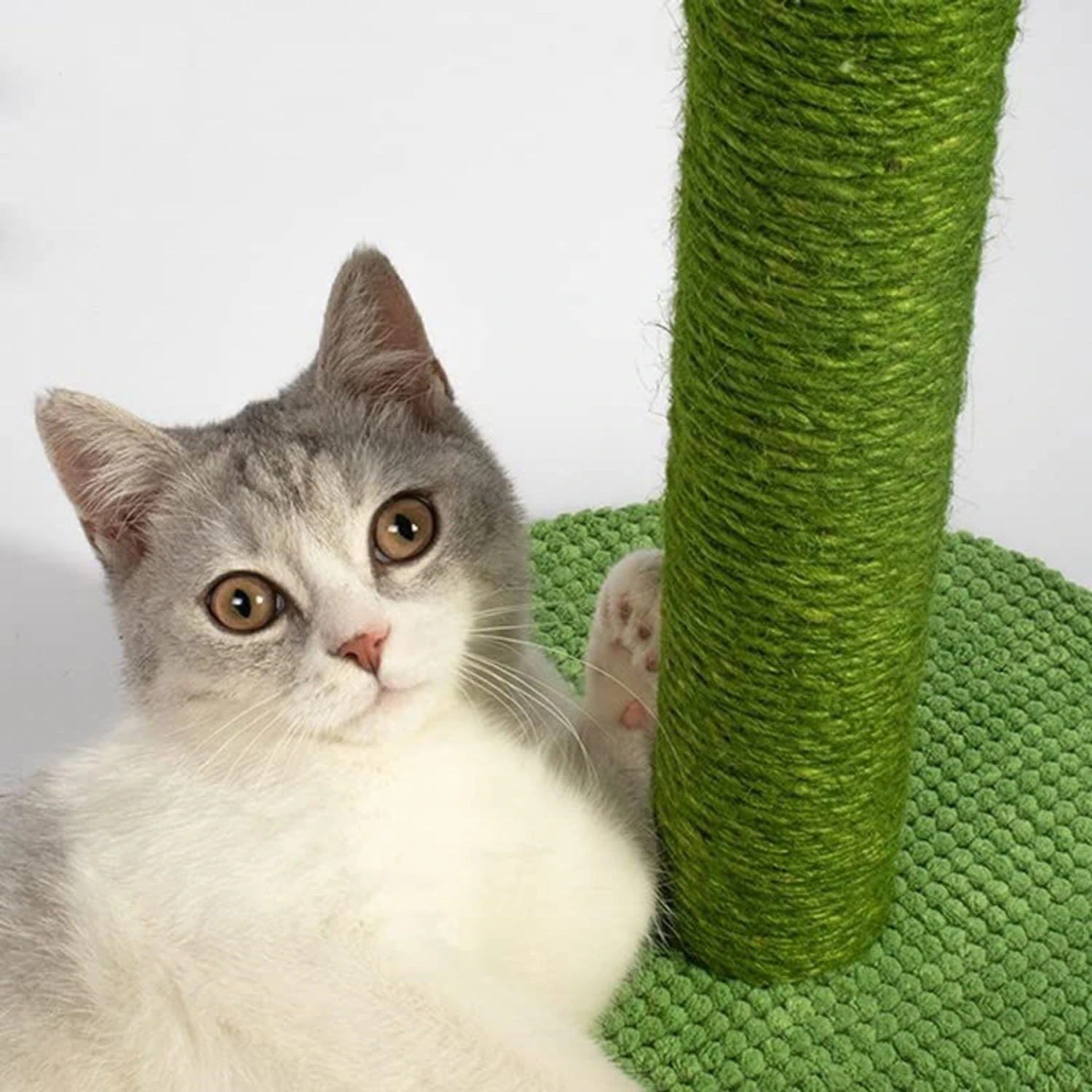 Lovely Caves 23.6-in Cactus Cat Scratching Post. Green, Large 5 Lovely Caves 23.6-in Cactus Cat Scratching Post. Green, Large - Image 3