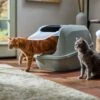 Frisco Mega Deluxe Litter Box -Cat Supplies 526526 MAIN. AC SS1800 V1659623787