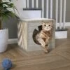 Way Basics 12.6-in Katsquare Cube Scratching Post -Cat Supplies 530438 MAIN. AC SS1800 V1651684296