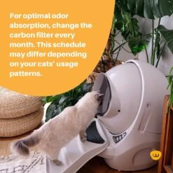 Litter-Robot 3 Cat Litter Box Carbon Filters, 6 Count 12 Litter-Robot 3 Cat Litter Box Carbon Filters, 6 Count -Cat Supplies 535294 PT3. AC SS1800 V1651159029