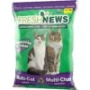 Fresh News Non-Clumping Scented Paper Cat Litter, 25-lb Bag 1 Fresh News Non-Clumping Scented Paper Cat Litter, 25-lb Bag -Cat Supplies 539206 MAIN. AC SS1800 V1652821355