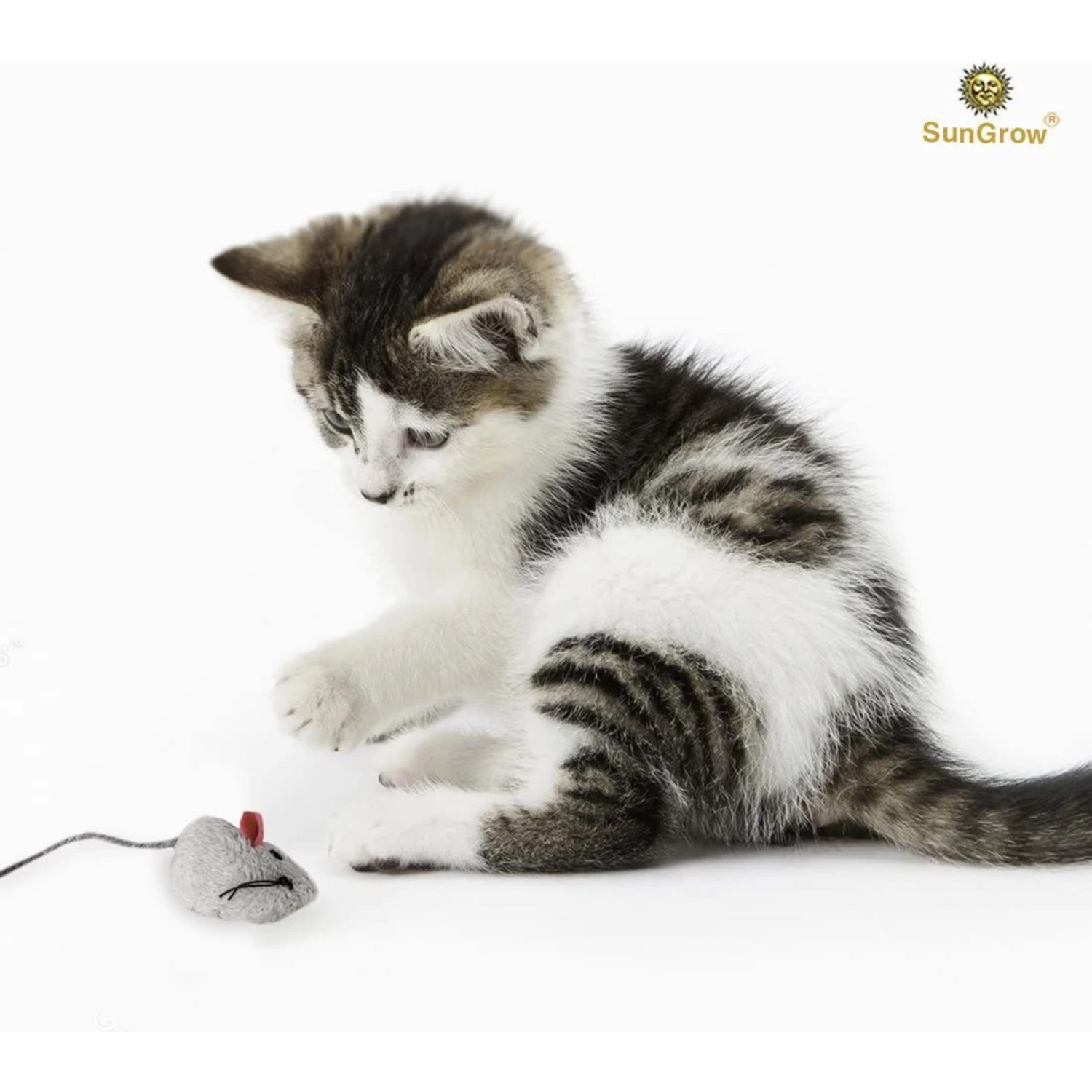 SunGrow Teething Chews Cat & Ferret Chase & Kicker Mouse Plush Toy, 5 Count 4 SunGrow Teething Chews Cat & Ferret Chase & Kicker Mouse Plush Toy, 5 Count - Image 2