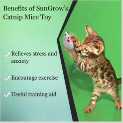 SunGrow Teething Chews Cat & Ferret Chase & Kicker Mouse Plush Toy, 5 Count 11 SunGrow Teething Chews Cat & Ferret Chase & Kicker Mouse Plush Toy, 5 Count -Cat Supplies 541654 PT3. AC SS1800 V1675970900