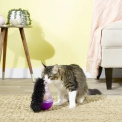 KONG Cat Wobbler Treat Dispenser -Cat Supplies 54926 PT4. AC SS1800 V1545170374