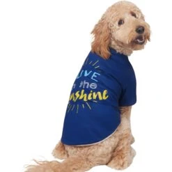 Frisco I Live In The Sunshine Dog & Cat T-Shirt -Cat Supplies 556222 PT3. AC SS1800 V1674829145