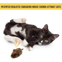 Pet Zone Play-N-Squeak MouseHunter Cat Toy With Catnip -Cat Supplies 55741 PT2. AC SS1800 V1583765065