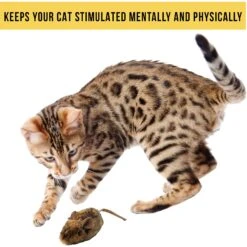 Pet Zone Play-N-Squeak MouseHunter Cat Toy With Catnip -Cat Supplies 55741 Pt5. AC SS1800 V1583765276