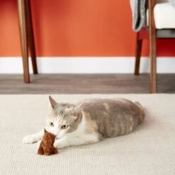 OurPets Backyard Squeaking Bunny Cat Toy 12 OurPets Backyard Squeaking Bunny Cat Toy -Cat Supplies 55742 PT5. AC SS1800 V1527256080