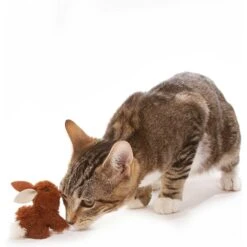 OurPets Backyard Squeaking Bunny Cat Toy 13 OurPets Backyard Squeaking Bunny Cat Toy -Cat Supplies 55742 PT8. AC SS1800 V1526316422