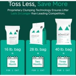 Boxiecat Gently Scented Premium Clumping Clay Cat Litter -Cat Supplies 582094 PT5. AC SS1800 V1658618566