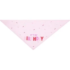 Frisco Dog & Cat Birthday Bandana -Cat Supplies 608206 PT4. AC SS1800 V1676586068