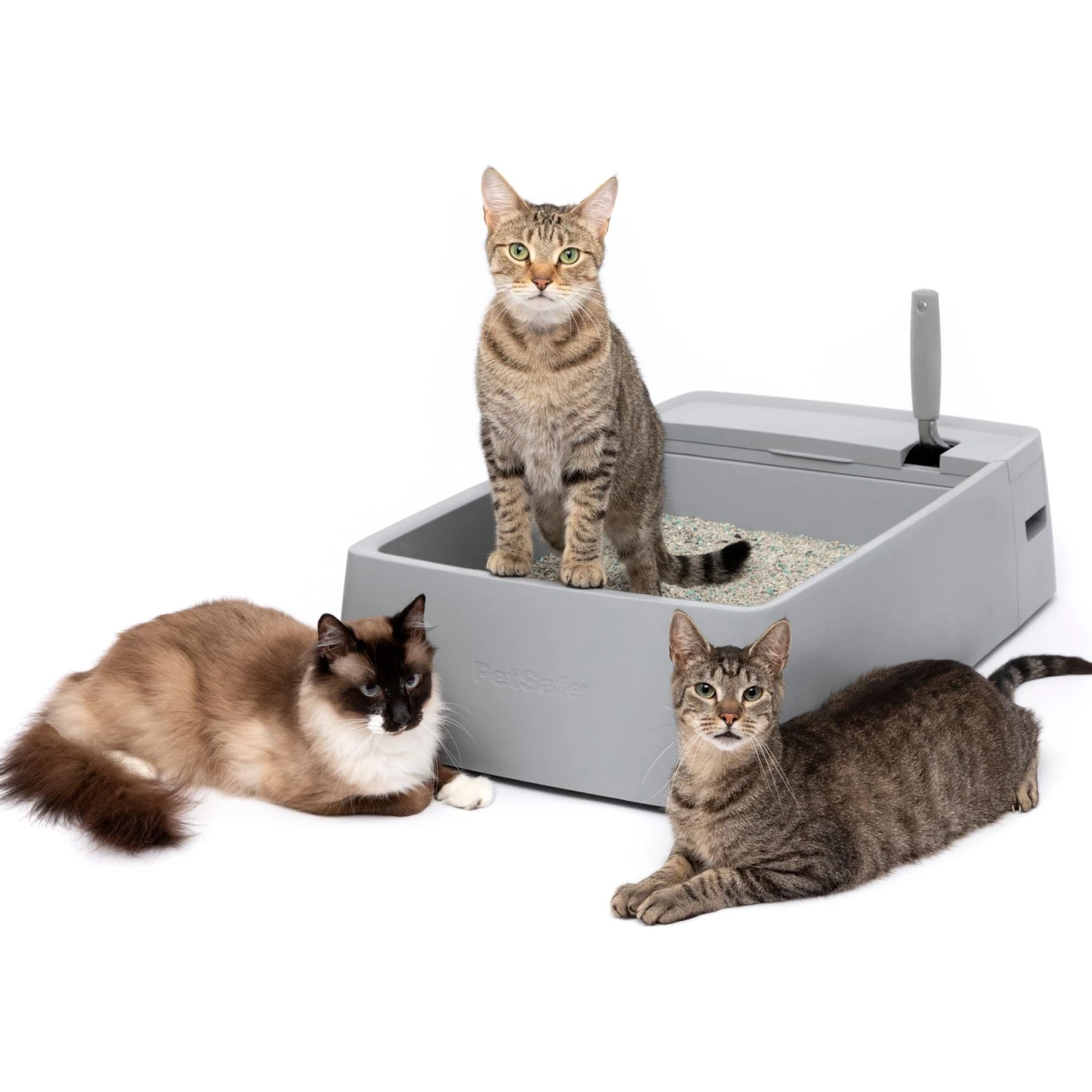 PetSafe Multi-Cat Litter Box 3 PetSafe Multi-Cat Litter Box