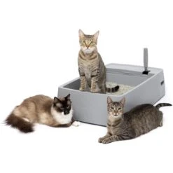 PetSafe Multi-Cat Litter Box 17 PetSafe Multi-Cat Litter Box -Cat Supplies 617526 PT6. AC SS1800 V1660255555