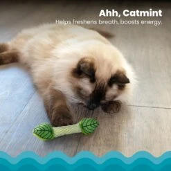 Catstages Fresh Breath Mint Stick Cat Chew Toy 10 Catstages Fresh Breath Mint Stick Cat Chew Toy -Cat Supplies 62044 PT2. AC SS1800 V1636519877