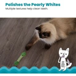 Catstages Fresh Breath Mint Stick Cat Chew Toy 11 Catstages Fresh Breath Mint Stick Cat Chew Toy -Cat Supplies 62044 PT3. AC SS1800 V1636513103