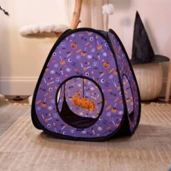 Goody Box Halloween Cat Toys & Treats 14 Goody Box Halloween Cat Toys & Treats -Cat Supplies 631182 PT4. AC SS1800 V1690839980