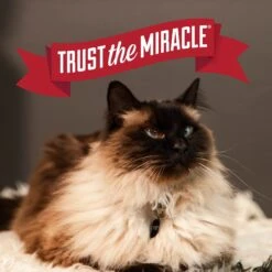 Nature's Miracle Intense Defense Scented Clumping Clay Cat Litter -Cat Supplies 633374 PT6. AC SS1800 V1667947582