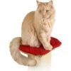SmartCat The Ultimate Cat Scratching Post Perch Pad 2 SmartCat The Ultimate Cat Scratching Post Perch Pad -Cat Supplies 64176. AC SS1800 V1460478784
