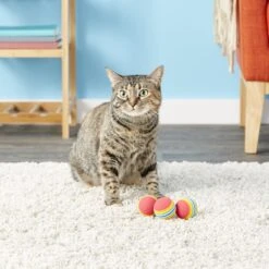 SmartCat Toy Box Balls, Color Varies -Cat Supplies 64222 PT5. AC SS1800 V1525719495