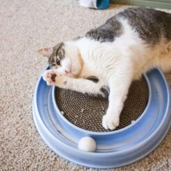 Bergan Scratcher Replacement Pads, 2 Count -Cat Supplies 64228 PT4. AC SS1800 V1673648563